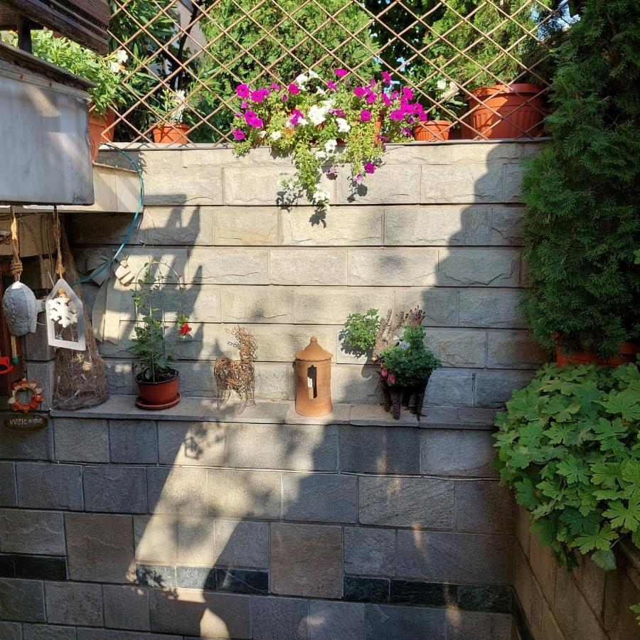 Guest House Planinski Zdravets Банско Экстерьер фото