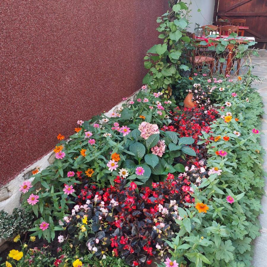 Guest House Planinski Zdravets Банско Экстерьер фото